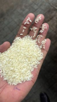 SONA MASOORI STEAM RICE - AAHLAD EXPORTS - India