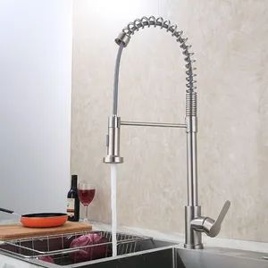 Spring Faucet Spring Kitchen Faucet Spring Pull Down Kitchen Faucet Spring Tap for Kitchen - Foshan ZOOKV Kitchen-Bath Co., Ltd. - China