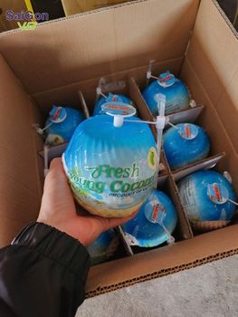 Vietnam Fresh Diamond Cut Coconut - Export Quality Young Coconut Supplier - SAIGON VG - Vietnam