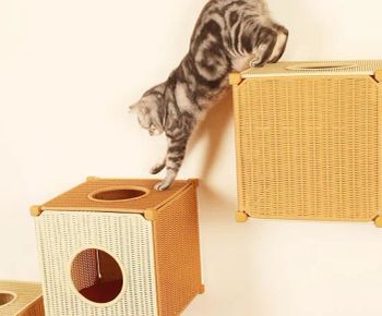 Ordora Pet Hair Remover for Furniture Blue Hamster Cage Pet Houses - Ningbo ZNZ Leisure Products Co., Ltd. - China