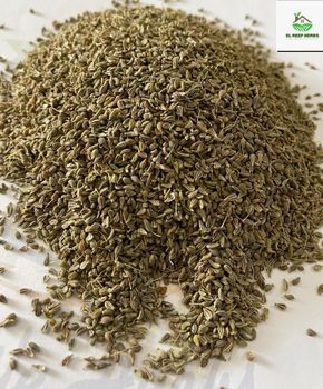 Anise - El Reef Herbs - Egypt