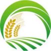 Product - Shandong Youmi Food Additives Co.,Ltd. - China
