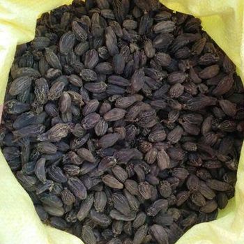 High Quality Natural Conventional AD Raw Dry Black Cardamom Pieces 12 Months Shelf Life from CPW TRADE LTD High Quality Natural Conventional AD Raw Dry Black Cardamom Pieces 12 Months Shelf Life - CPW TRADE LTD - United Kingdom