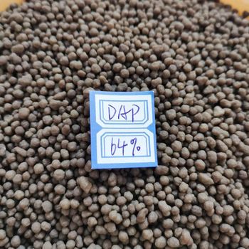 High Purity 99.9% DAP Fertilizer 18-46-0 Diammonium Phosphate Quick Release Granular Fertilizer KBS Brand for Sale - Carla Pisselli Commercio - Brazil