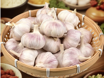 White Garlic And Red Garlic from Suzhou Traceability Standard Certification & Inspection Co., Ltd. White Garlic And Red Garlic – product photo, Dried White Garlic products found from trusted suppliers, wholesalers, manufacturers & exporters Listing