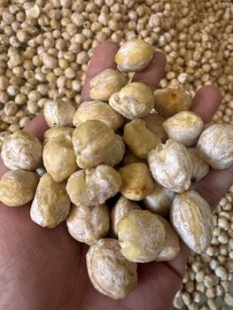 Agricultural Raw Materials Color Bright Aroma Distinctive Purity Free From Dirt And Dust Condition Whole Kernels, Undamaged And - CV DK GHAZI BERKAH - Indonesia