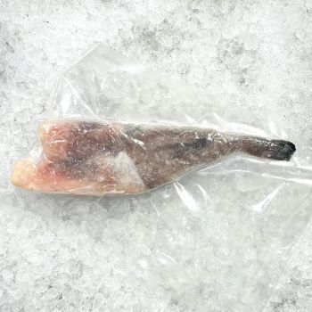Wholesale IQF Frozen Monkfish Tail Lophius White Fish Seafood Bulk Supply for Restaurants and Export - PILOTEXPORT IMPORT AND EXPORT LTD - South Africa
