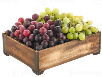 Fresh Azerbaijani Grapes - Goicha LLC - Azerbaijan