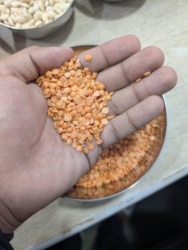 Red Lentil Bold from Shivam Protein Products Pvt.Ltd Red Lentil Bold - Shivam Protein Products Pvt.Ltd - India