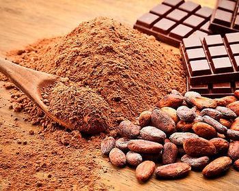 CHOCOLATE POWDER Origin Poland - EEC POLAND LTD  - Poland