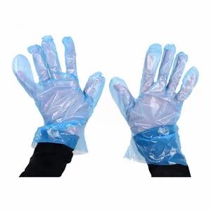Disposable Plastic Gloves Cleaning Gloves for Household Food Safe - Hubei Ruichen Protective Products Co., Ltd - China