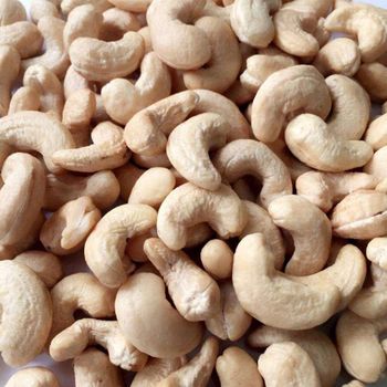 Hot Selling Cheap Raw Cashew Nut/ Cashew Nuts W180 W240 W320 W450/ USA - AGRONOVA - United States