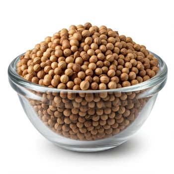 Premium Quality Whole Coriander Seeds Naturally Made Agriculture Product for Sale - TRADECENTRIC LLC - United States