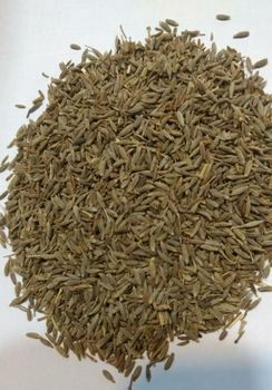 Cumin Texture Dried Seed Origin Cuminum Cyminum, India Flavor Distinctive Flavor And Aroma Nutritional Benefit Rich Source Of Iron - H&R International - India