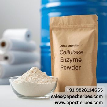 Cellulase Enzyme, Cellulase Enzyme For Pulp & Paper, Enzyme For Pulp & Paper, Pulp & Paper Cellulase Enzyme, Pulp & Paper Enzyme, Cellulase,  Enzyme,  Cellulase Enzyme Supplier From India. - APEX INTERNATIONAL - India