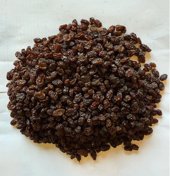 Thompson Seedless Raisins – Premium / Type 9 - Afganistan origin - EXW Prague - DDP EU - From Wild International s.r.o		 - Spain