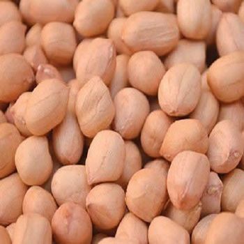 Highest Quality Organic Java Peanut Groundnut 100% Natural Wholesale Selling Bulk Supplier for Bulk Buyers - AL JABLI TRADING COMPANY LIMITED - Tanzania