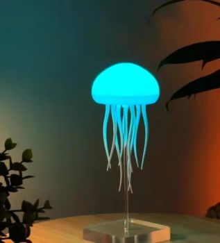 Jellyfish LED Floating Lamp Flexible 16-20W Pullswitch E27 IP65 CE 1Y - Shanghai Lanyou Lighting Co., Ltd. - China
