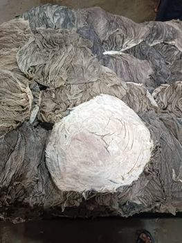 DRIED SALTED OMASUM Brand Oem Form Dried Origin Austria Feature Natural Contents Omasum Ingredients None Flavor Rich Flavor - jmb management - Germany