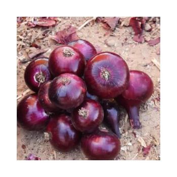 Best-selling And High Quality Wonderful Delicious Fresh Vegetable Red Grade Onion For Export - HIGHPROFILE AGRICULTURE SERVICES LIMITED - Tanzania