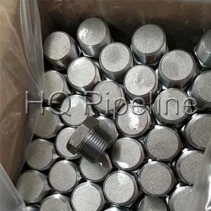 High Pressure Hex Plug Stainless Steel Forged Steel Pipe Fittings - Qingdao HQ Import & Export Co., Ltd. - China