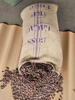 CoCoa Beans – product photo, Fermented Cocoa Beans products found from trusted suppliers, wholesalers, manufacturers & exporters Listing