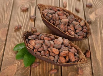 High Quality Raw Dried Cocoa Beans Fast Delivery Bulk Supply for Chocolate Factories Best Price and Cheap - CPW TRADE LTD - United Kingdom