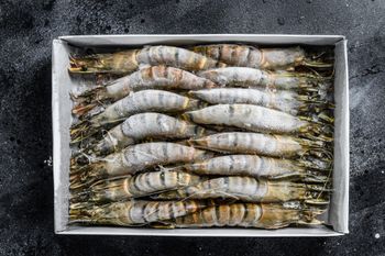 Frozen Fresh Shrimps High Purity Seafood Selection Delivering Fresh Flavor And Superior Product Integrity - TOSOH INTERNATIONAL - South Africa