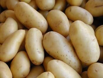 Potatoes Mozika – product photo, Potatoes products found from trusted suppliers, wholesalers, manufacturers & exporters Listing