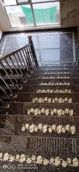 Yellow Mop Stairs Work, Thickness: 3mm Size Medium Thickness 3mm Material yellow mop Usage/Application stairs Price 1700 Rs Per Running - N.R. Marble Handicrafts - India