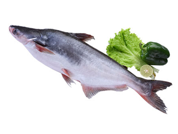 Pangasius – product photo, Recommend Fallback