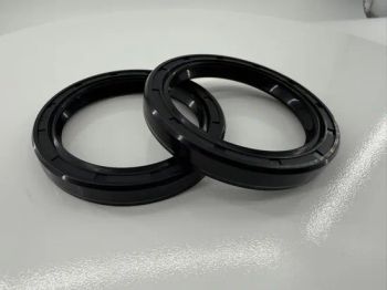 Customized Ffkm Perfluoroether Oil Seals, High-Temperature Resistant Oil Seals, Special Equipment Oil Seals, and Corrosion-Resistant Oil Seals - Guangzhou Xunchi Auto Parts Manufacturing Co., Ltd. - China