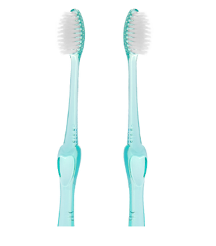 Wholesale Daily use Toothbrush with many colors toothbrush transparent toothbrush made in Vietnam - DILIGO HOLDINGS JOINT STOCK COMPANY - Vietnam