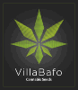 Product from VILLABAFO Product – product photo, Arisaema Flower Bulbs products found from trusted suppliers, wholesalers, manufacturers & exporters Listing