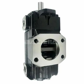 T67 Vane Hydraulic Pumps T67DC-B24-017-2r-A100 Hydraulic Pump for Excavator - Guangzhou Baolilai Hydraulic Machinery Co., Ltd. - China