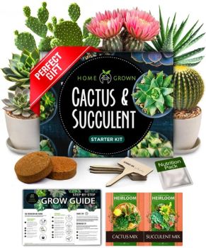 Premium Dly Garden Succulent Cactus Kit 4 Markers Drip Trays Soil-for Plant Enthusiasts Includes Artificial Flower Plant Pot - Plant Fun ( Xiamen) Co., Ltd. - China