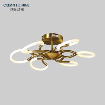Unique Design Flower Shape Silica Gel LED Ceiling Lights - Zhongshan Ocean Smart Lighting Co., Ltd - China