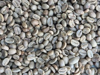 Green Arabica coffee beans – product photo, Colombia Arabica Coffee Beans products found from trusted suppliers, wholesalers, manufacturers & exporters Listing