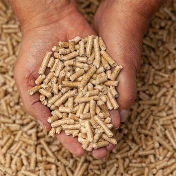 Bulk Supply Wood Pellets Premium Quality Fuel Pellets for Industrial and Commercial Use - agroturaspzoo - Poland