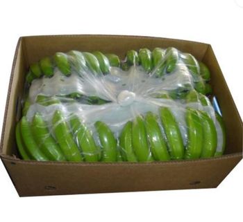 Fresh Cavendish Banana – product photo, Fresh Cavendish Bananas products found from trusted suppliers, wholesalers, manufacturers & exporters Listing