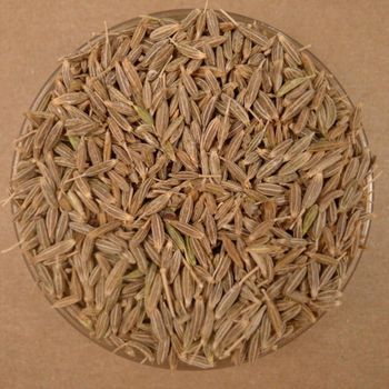 cumin seed, singapore, 99% , INDIAN CUMIN SEED, JEERA Port INDIA Flavor Rich Aroma Strong Origin Indian Purity Min 99% Admixture Max 1% - Anecul Sales - India