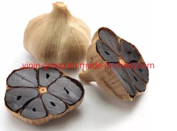 New Black Garlic Hot Sale Solo Head Black Garlic Chinese Black Garlic - SHANDONG YIPIN AGRO (GROUP) CO., LTD. - China