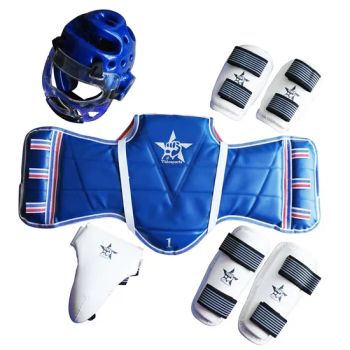 Martial Arts Equipment, Wt Taekwondo Sparring Gear Set - Danyang Huasheng Sporting Goods Co., Ltd - China