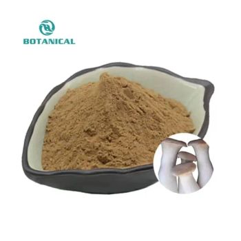 High Quality French Horn Mushroom King Trumpet Mushroom Extract King Oyster Mushroom Extract Powder - Botanical Cube Inc. - China