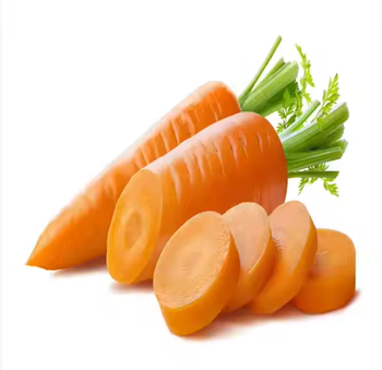 Fresh Carrot Grade A Packaging - TRADE NEPAL LLC - United States
