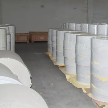 Direct Thermal Labels Self Synthetic Label Adhesive Jumbo Roll - Shenzhen Likexin Industrial Co., Ltd. - China