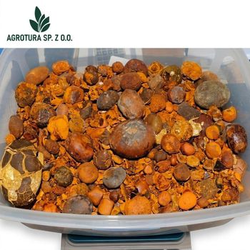 Premium Wholesale Cow Ox Gallstones – High Purity Natural Bovine Gallstones for Traditional Medicine and Pharmaceutical Use, Carefully Selected and Processed for Maximum Quality, Consistency, and Global Export Supply with Custom Packaging and Reliable Bulk Delivery Options - agroturaspzoo - Poland