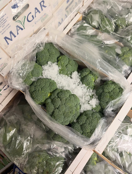 CONSISTENT DELIVERY FRESH FROZEN BROCCOLI PREMIUM QUALITY 10 HEADS PER CARTON BRIGHT GREEN BROCCOLI ON SALE - Sosa Merchant Solutions - Austria