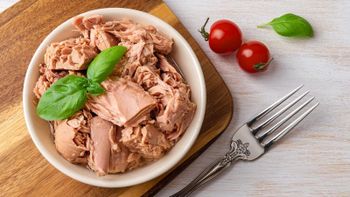 Canned tuna Form Canned Oil Type Vegetable Oil - Amf trading pvt ltd - Pakistan