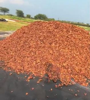 Pomegranate peel - Ads Ascend - India
